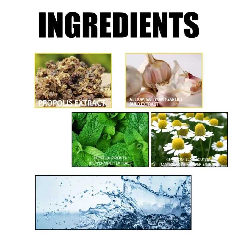 Oralhoe Propolis Oral Cleaning Mousse - Foaming Mouth Cleaner for Fresh Breath - Image 5
